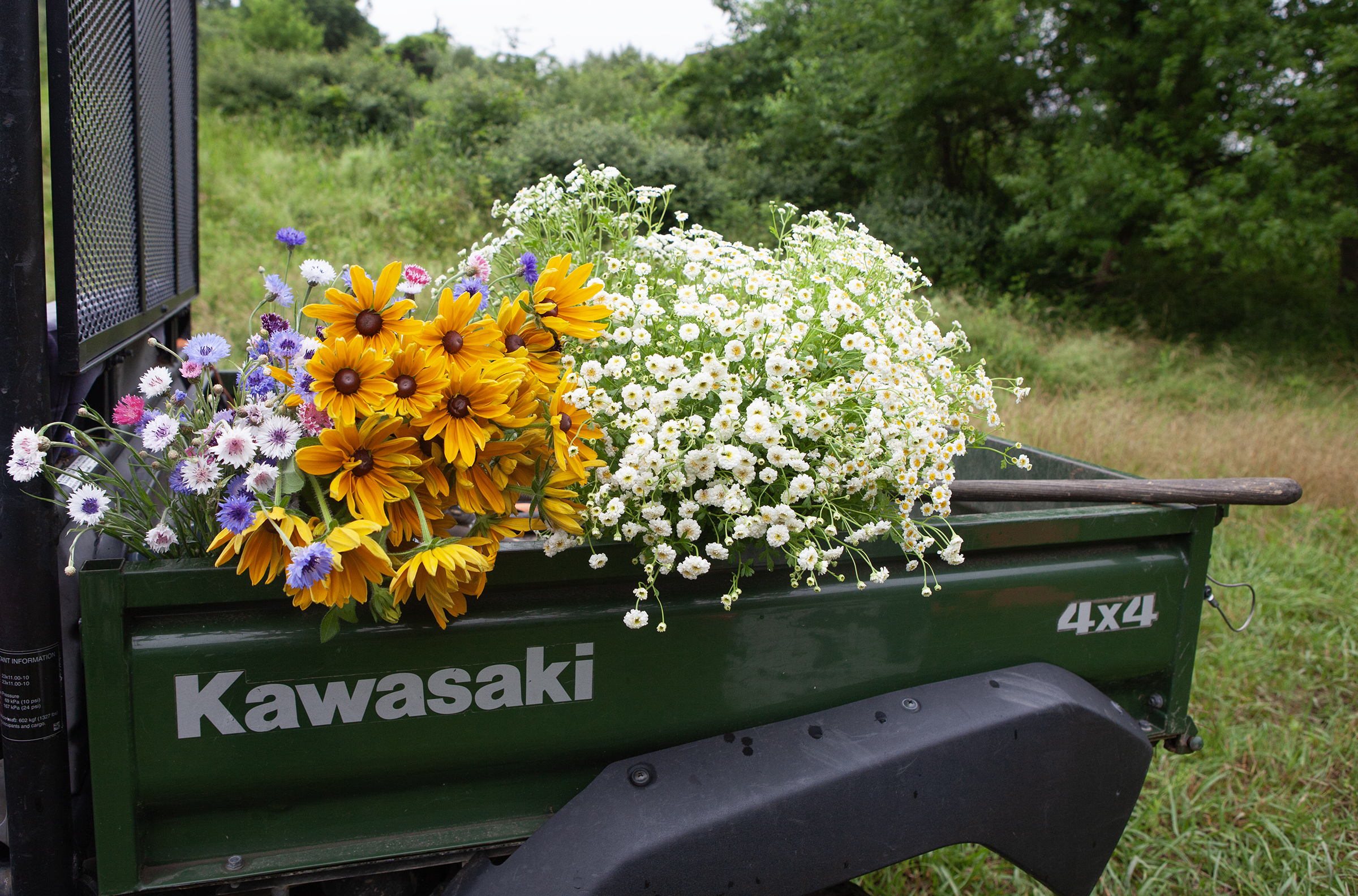 Fresh sunflowers and daisies on the farm truck